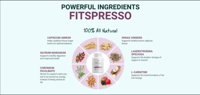 Fitspresso ingredients